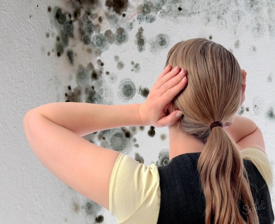 Ako sa zbaviť plesní na stene