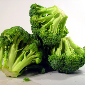 Stock Photo Hur man växer broccoli kål