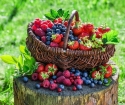 Как сушить ягоды