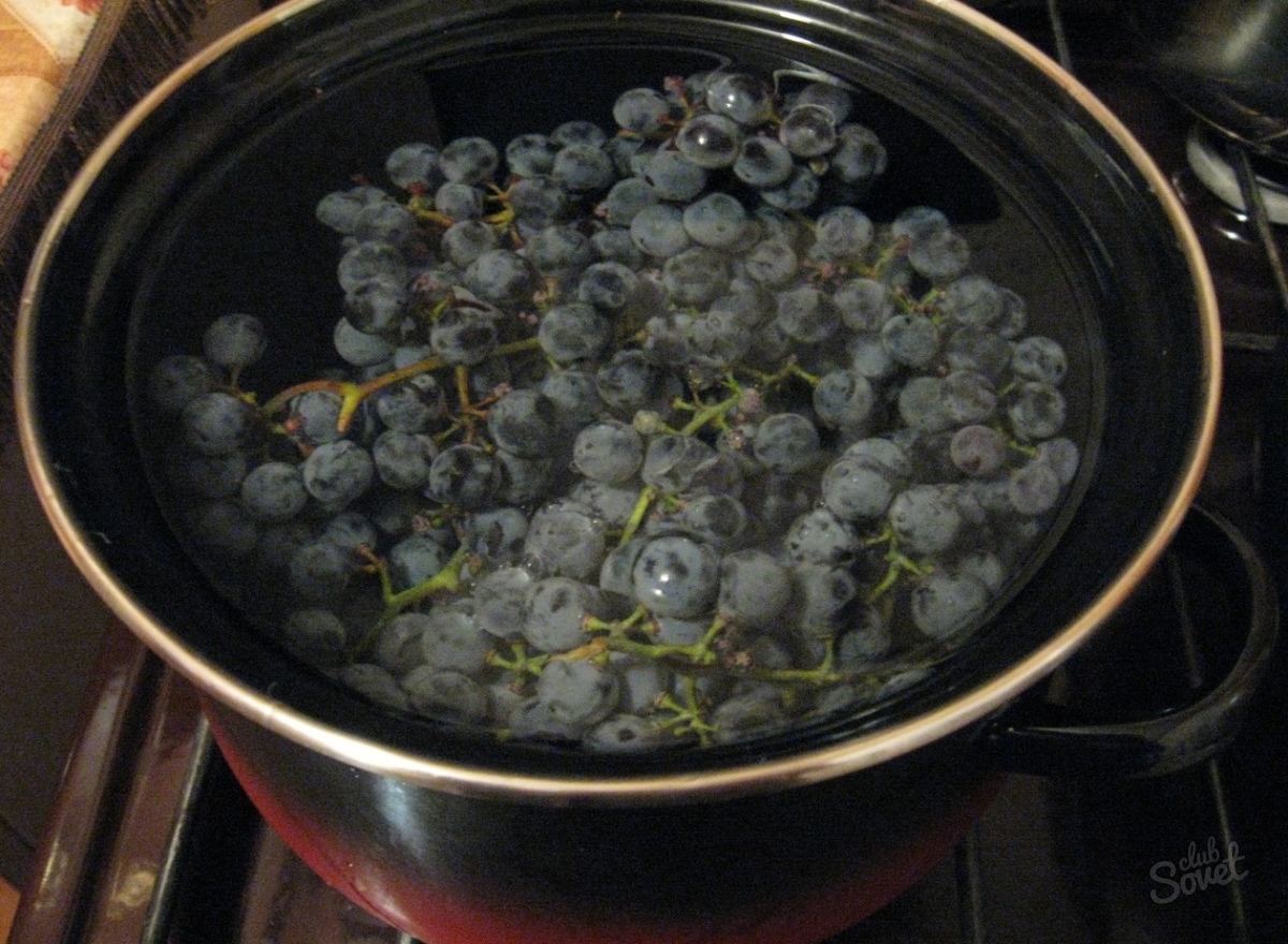 Copot iz grozdja