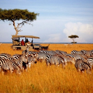 Какво национални паркове Кения са най-интересните