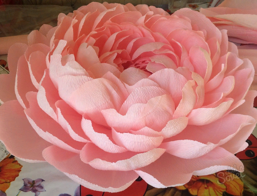 How to make a peony from corrugated paper?