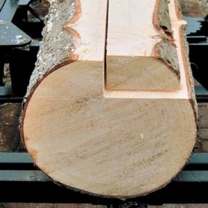 Come tagliare un tronco