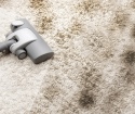 Hur man rengör mattan