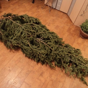 Fotografija kako staviti božićno drvce bez stalka