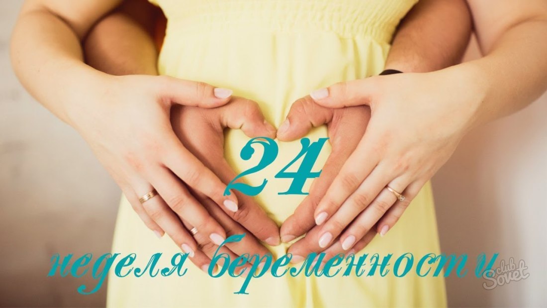 24 Teden nosečnosti - kaj se zgodi?