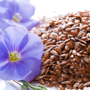 Льняное семя – польза и вред, как принимать