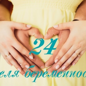 Fotografija 24 Teden nosečnosti - kaj se dogaja?