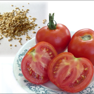Fotografija kako skupljati sjemenke rajčice