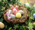 چگونه تخم مرغ را برای عید پاک رنگ کنیم