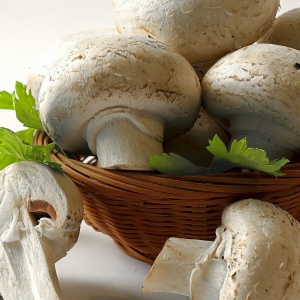 How to cook champignons