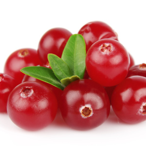 Photo as children to give cranberries