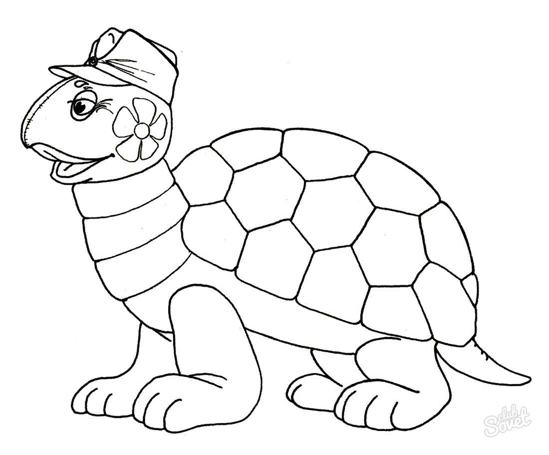 Hur man ritar en sköldpadda