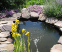 How to make a decorative pond