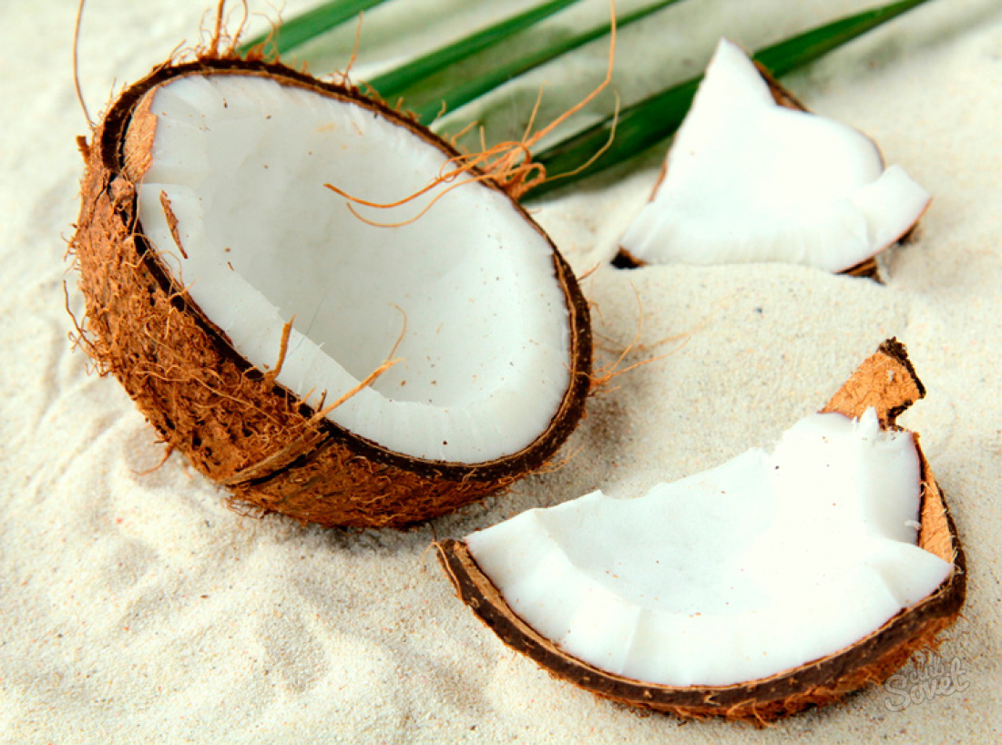 Co je kokos