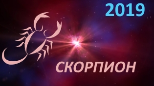 Horoskop pro rok 2019 - Scorpio