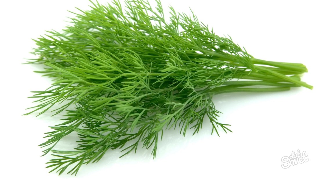 How to freeze dill for the winter?