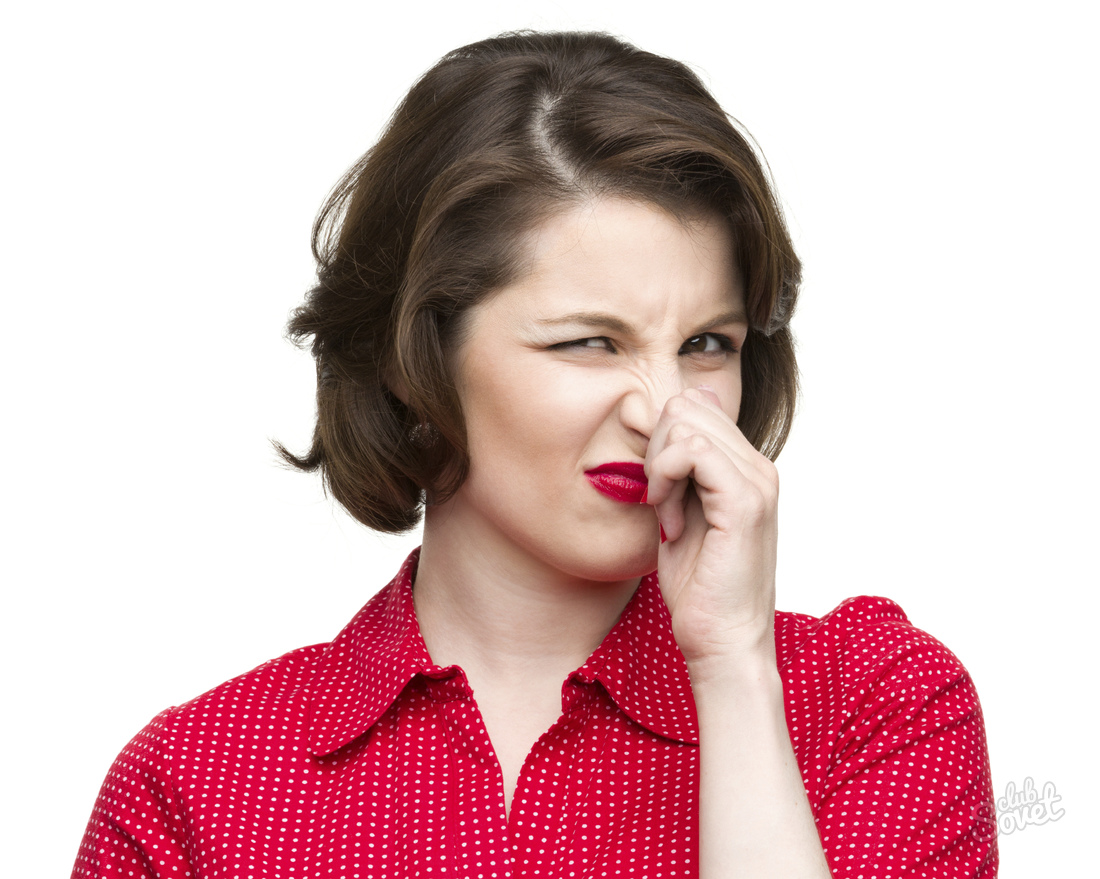 How to get rid of the smell of mold