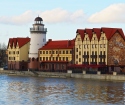 Where to go to Kaliningrad