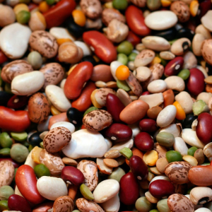 Apa yang harus dimasak dari kacang