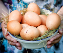 چگونه تخم مرغ را طبخ کنیم تا آنها را پشت سر بگذارند