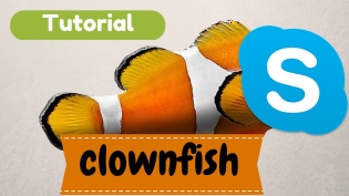 Klownfish - Kako uporabljati
