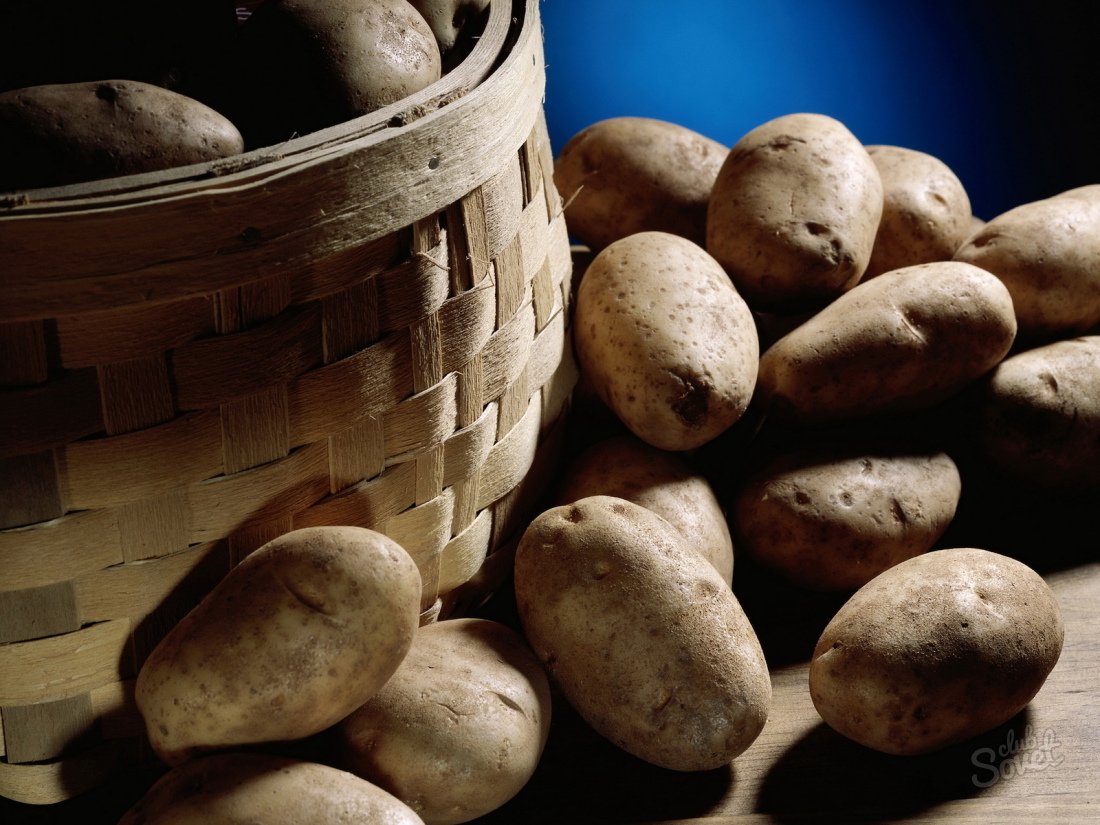 Jak rostou brambory pod slámou