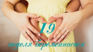 19 тиждень вагітності - що відбувається?