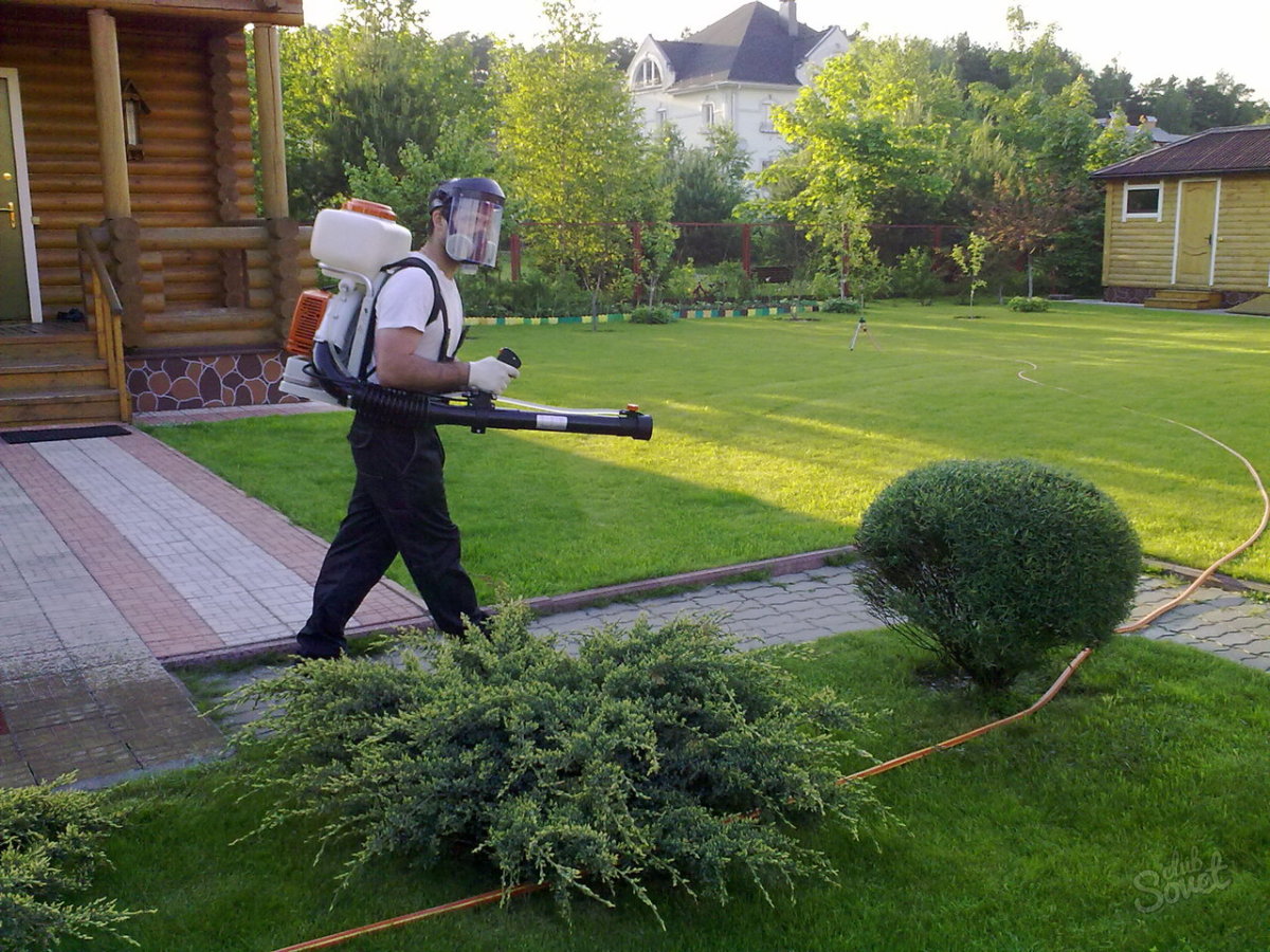 Spraying-lawn