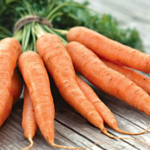 Foto Como colocar cenouras