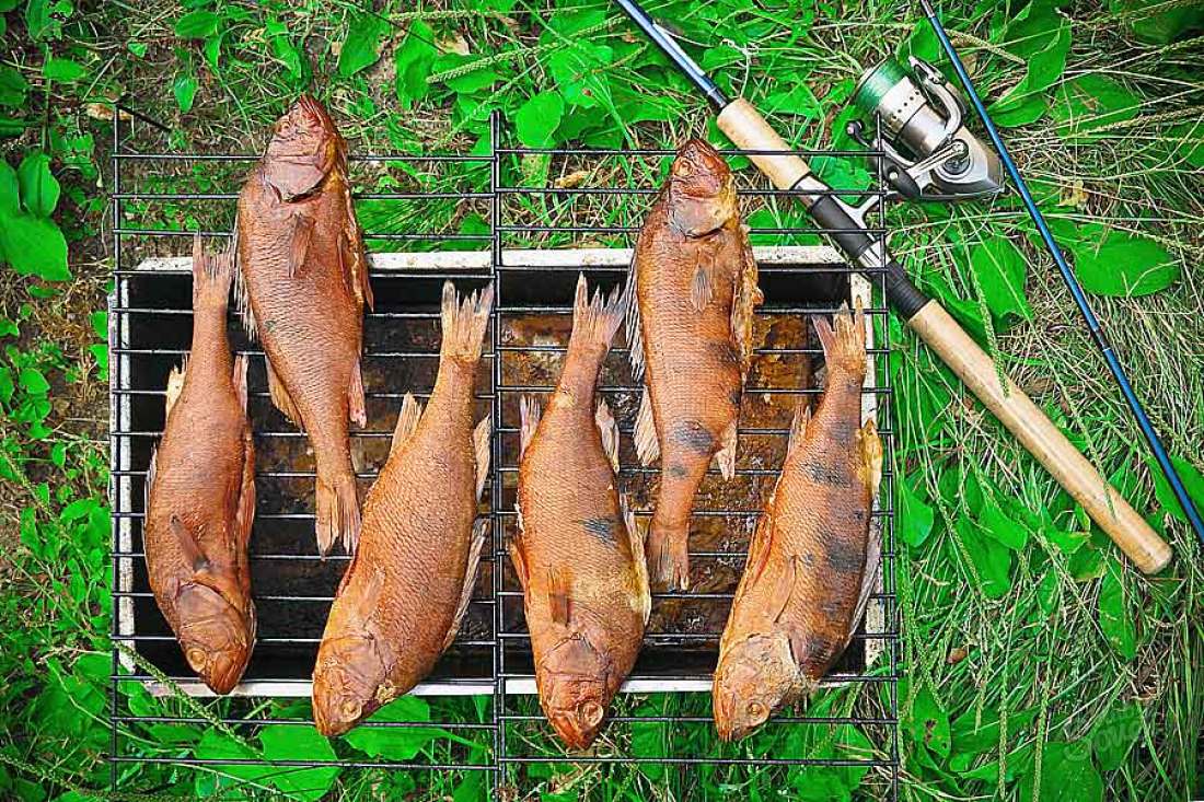 Kako napraviti pušenje za ribu