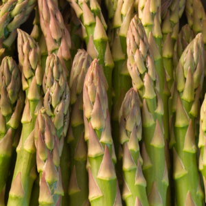 Foto hur man planterar asparag