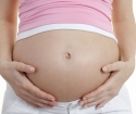 Placenta de grossesse