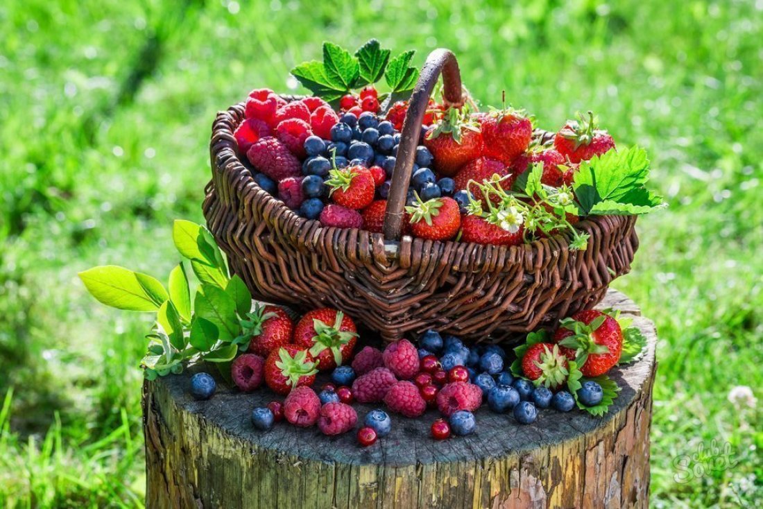 Как сушить ягоды