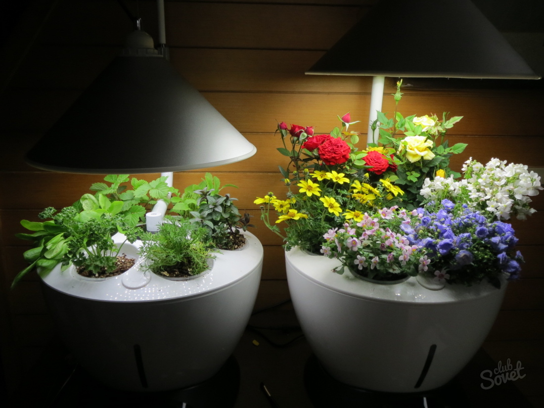 Како бирати лампе за саднице