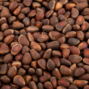 Cedar Nuts - полза и вреда