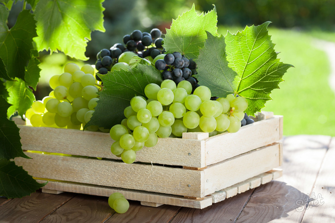 Kako shranjevati grozdje
