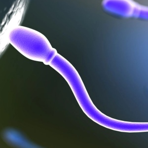 Comment faire le spermogramme