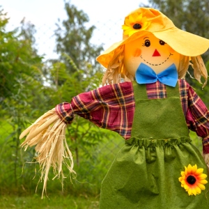 ფოტო როგორ გააკეთოთ Scarecrow ამის გაკეთება საკუთარ თავს