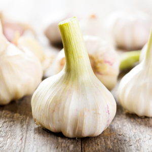 Photo How to grow a good crop garlic