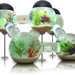 Як видати акваріум