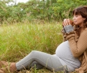 Liście malin podczas ciąży
