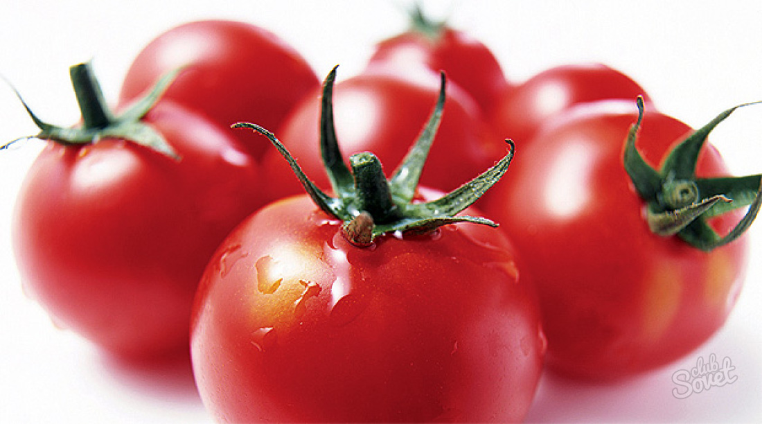 Cum să se ocupe de tomate boli