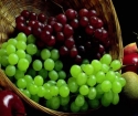 Kako posaditi grozdje
