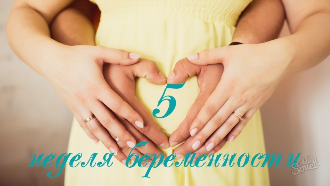 5 týdnů těhotenství - co se děje?