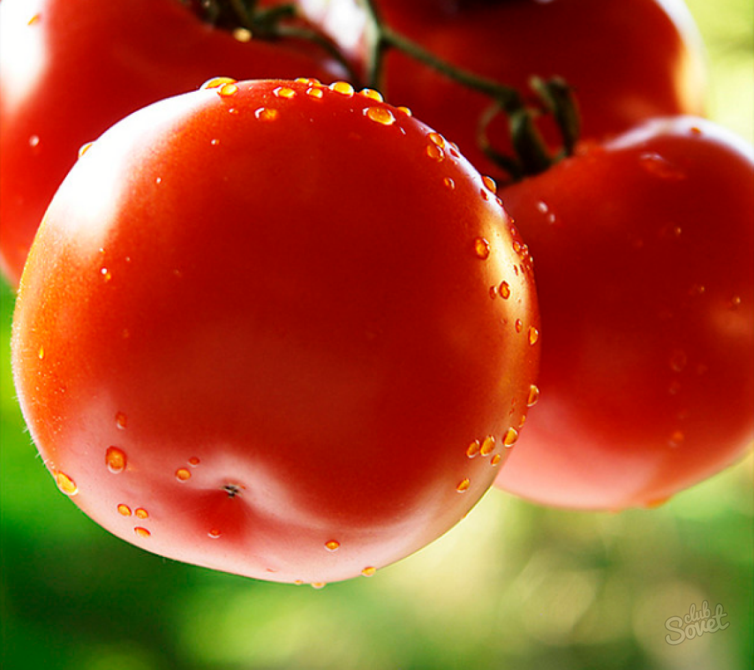 Su domates nasıl yapılır