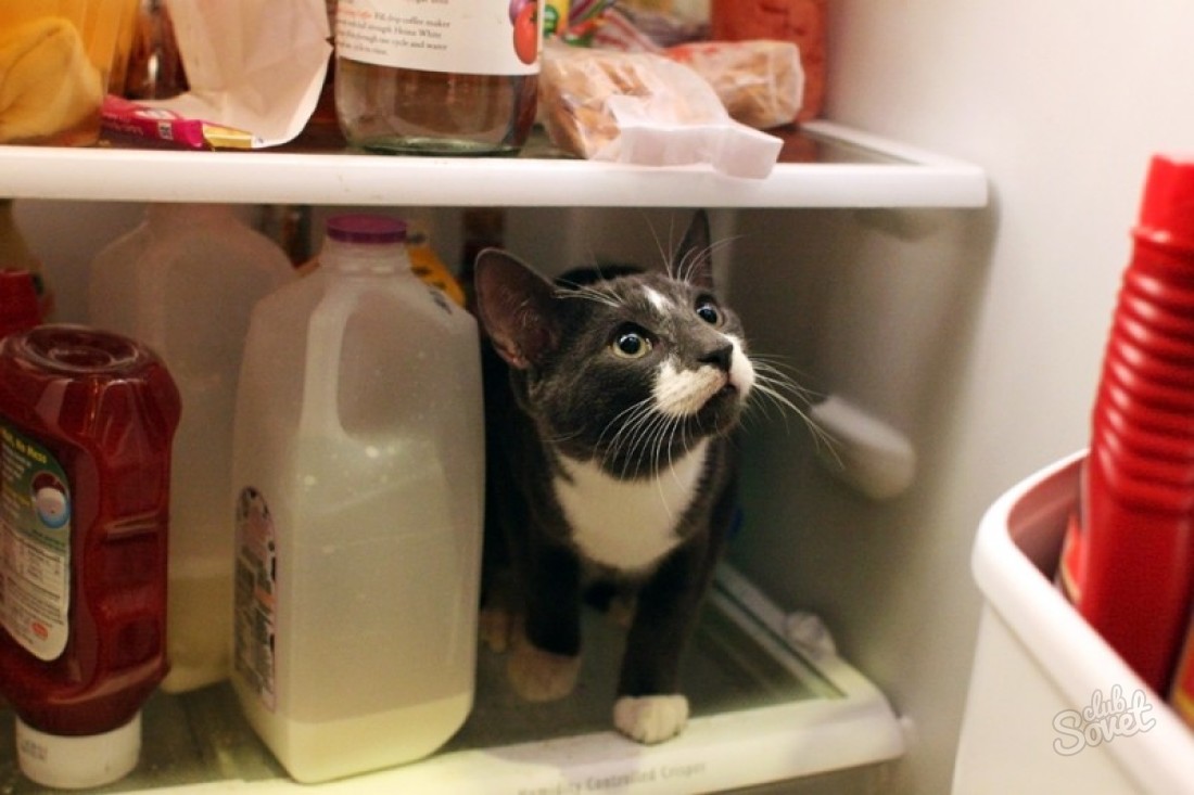Hur man eliminerar obehagliga lukt i kylskåpet