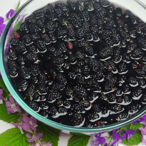 Stock Foto Jam from Mulberry - Recipe