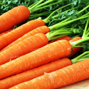 Πώς να αποθηκεύσετε τα καρότα το χειμώνα