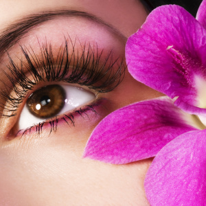 Stock Foto Facilities for eyelash growth